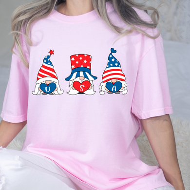 USA Gnomes DTF Print