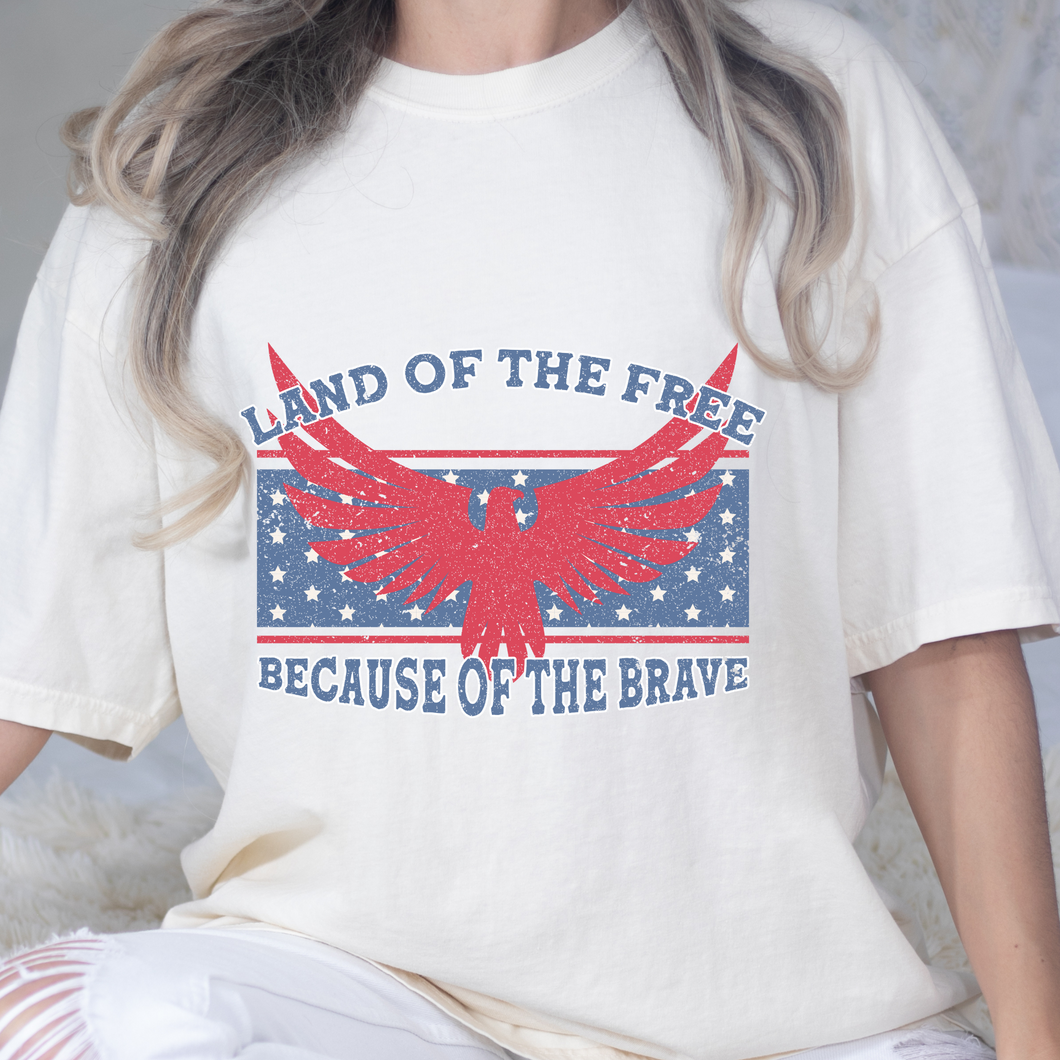 Land Of The Free DTF Print